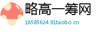 略高一筹网